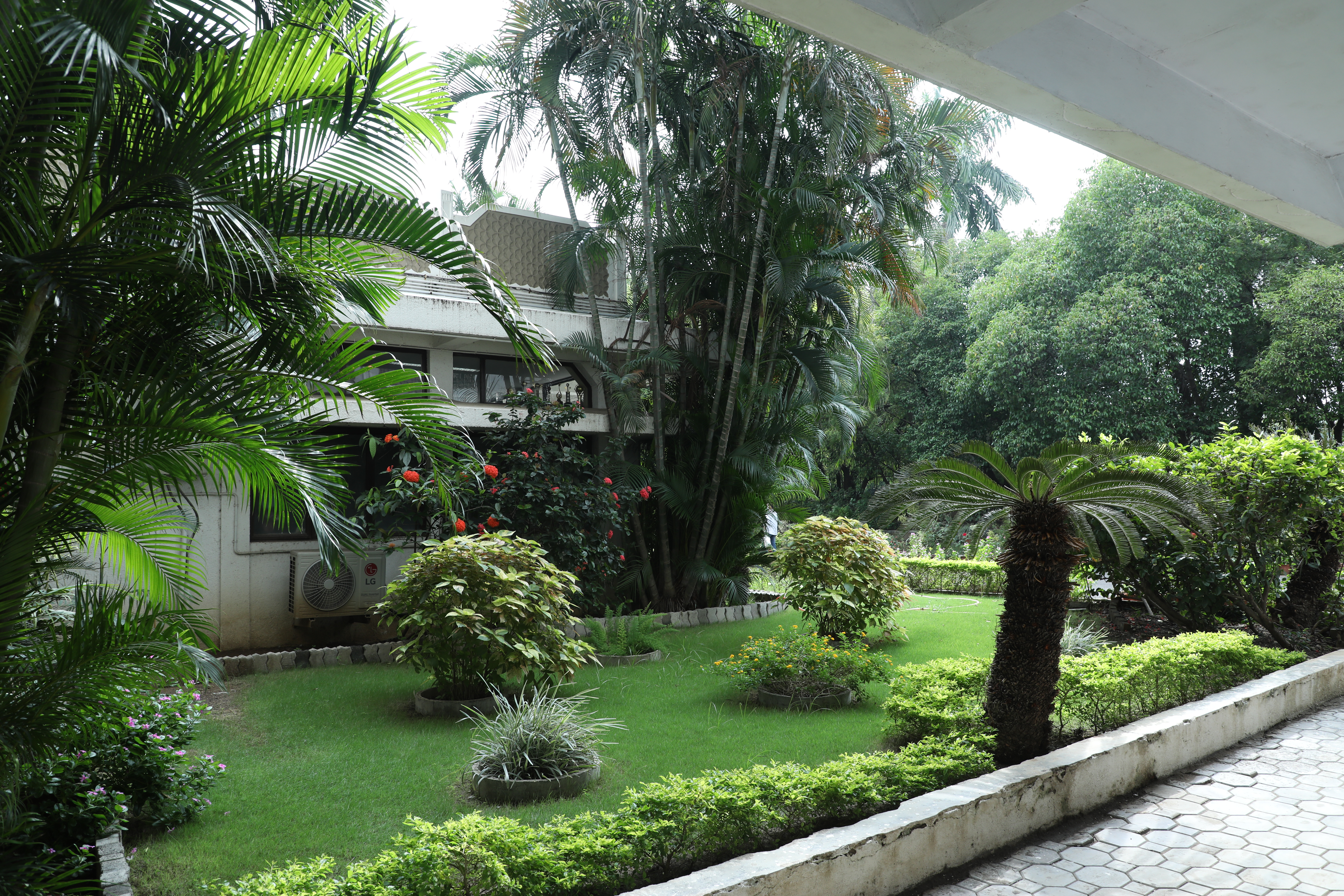 about_page_video_img1